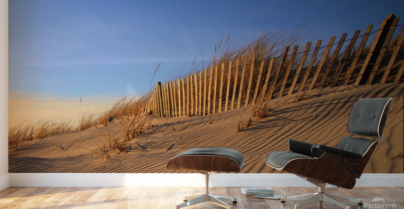 Dunes At Shinnecock Inlet Wall Murals