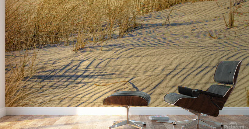 Golden Light On The Dune Wall Murals
