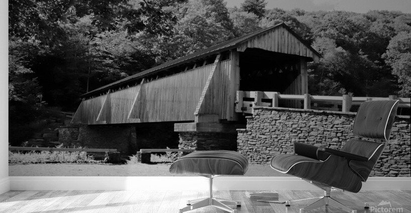 Beaverkill Covered Bridge In Black and White Wall Murals
