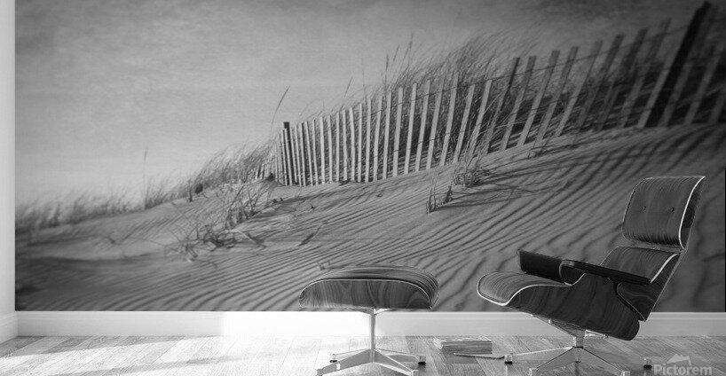The Dunes In Black and White Wall Murals