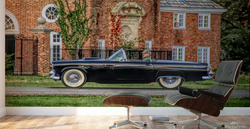 A Man And His T Bird Wall Murals