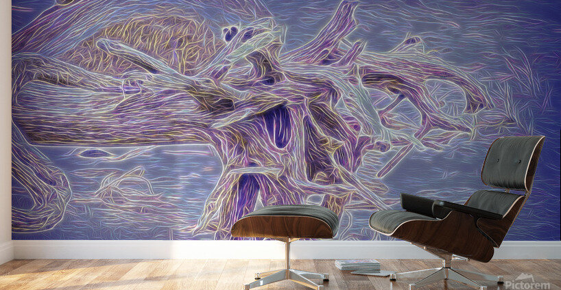 The Weather Creature Wall Murals