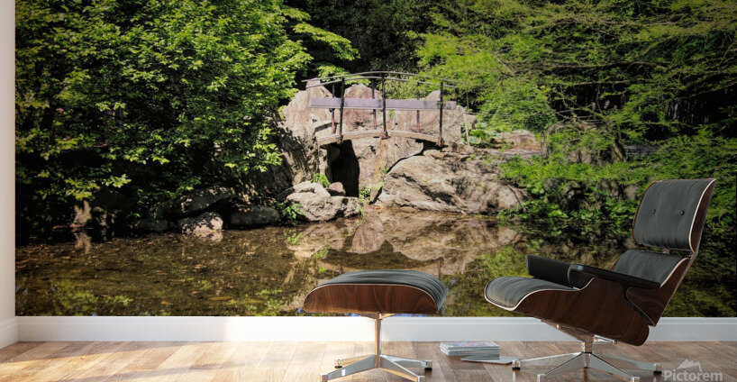 The Secret Bridge Wall Murals