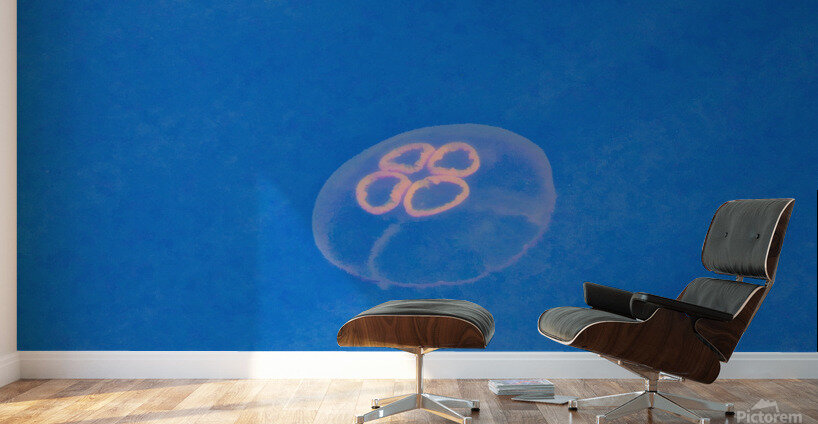 Jellyfish Wall Murals
