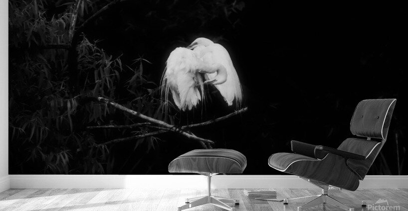 Sharing A Branch Wall Murals