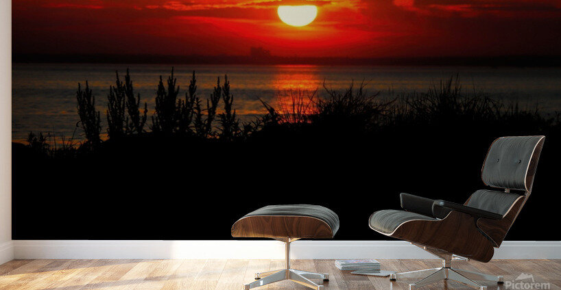 Sunset June 2023 Wall Murals