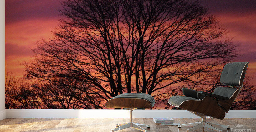 Tonys Sunset Wall Murals