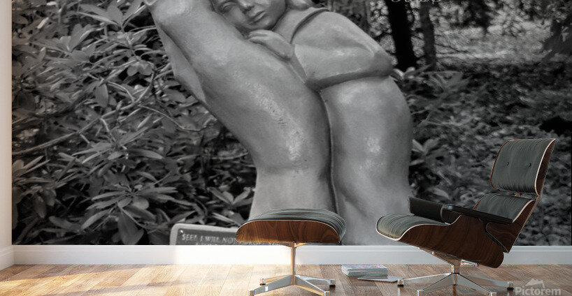 Safe In His Hands Wall Murals