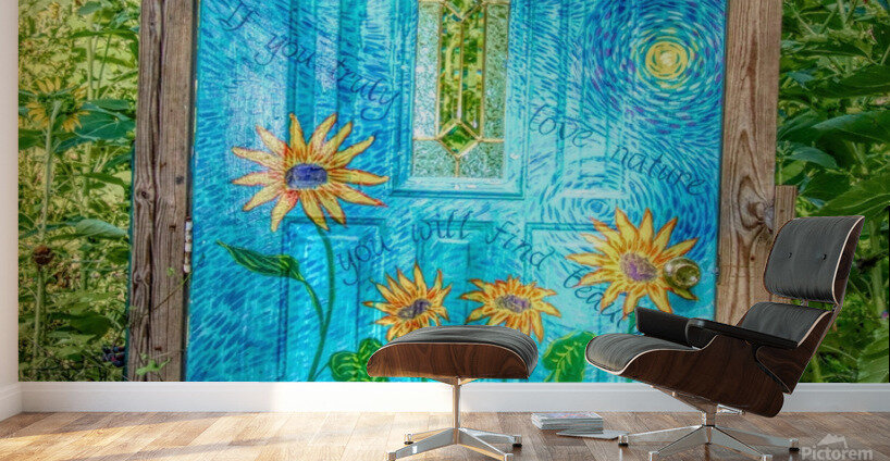 The Perfect Door Wall Murals