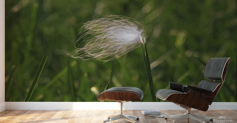 Feather Stuck O A Blade Of Grass Wall Murals