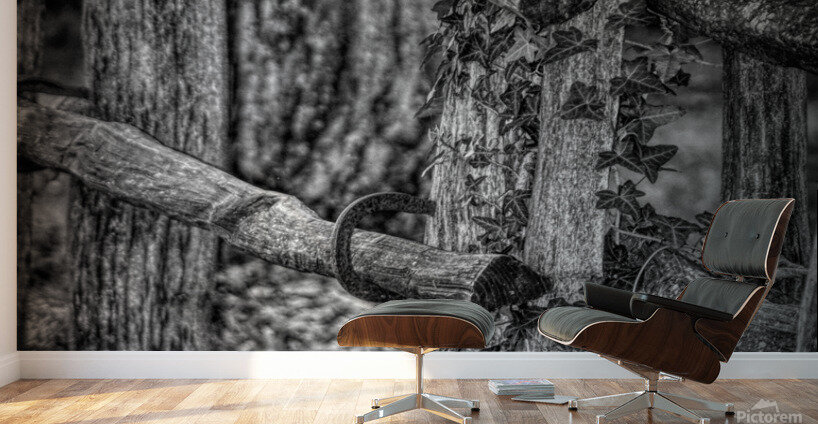 Horseshoe Fence In Black and White Wall Murals