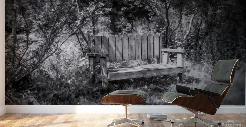 Tranquil Thinking Spot Wall Murals