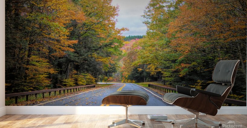 Road Along The Neversink Reservoir Wall Murals