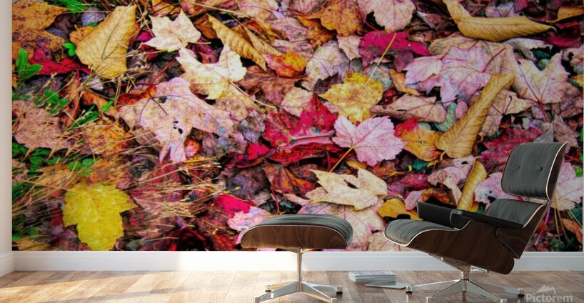 Leaves On The Neversink  Wall Murals