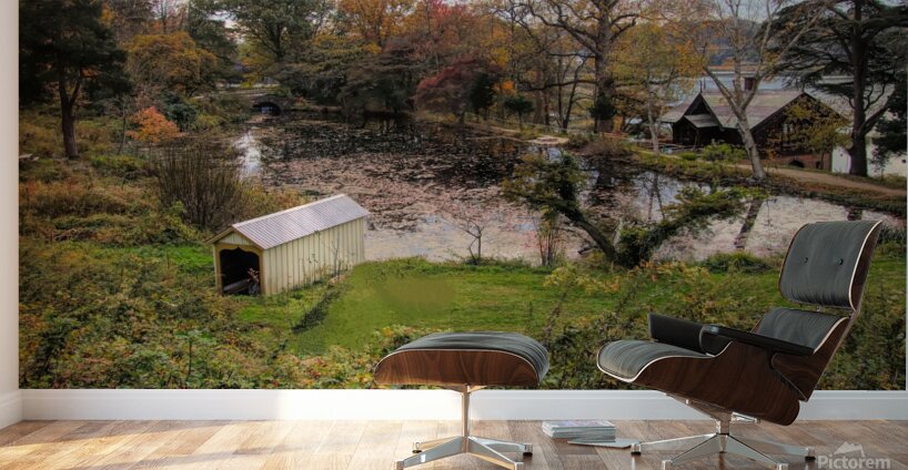 Overlooking Cedarmere Pond Wall Murals