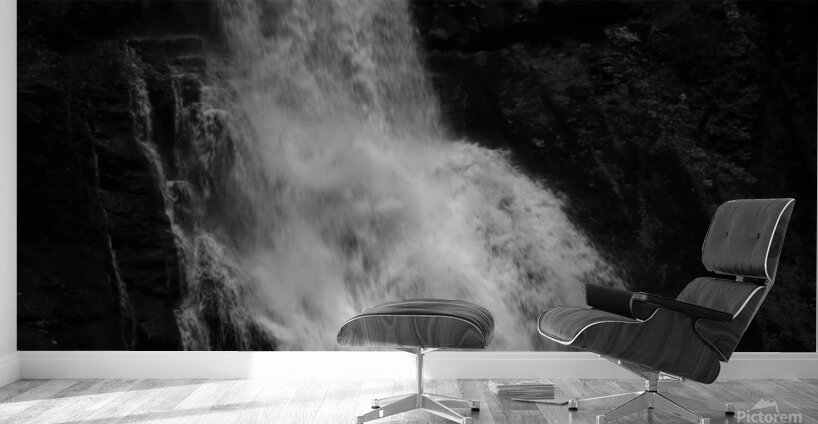 Bushkill Falls In Black and White Wall Murals