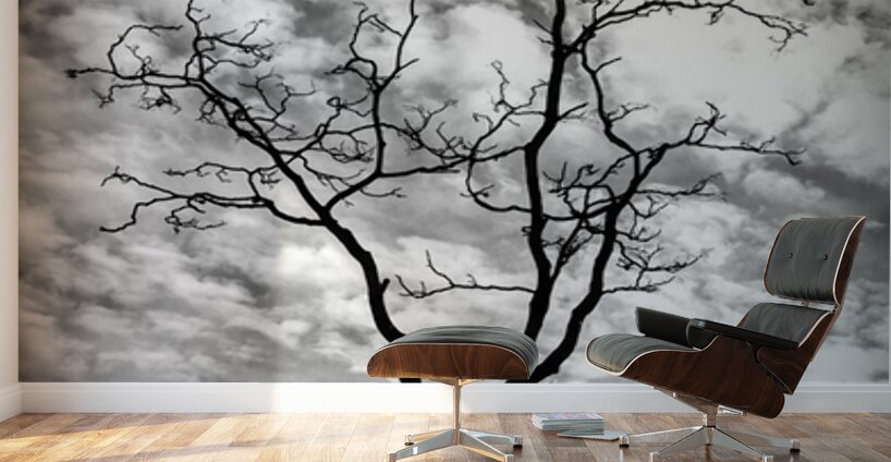 A Snag In Black and White Wall Murals