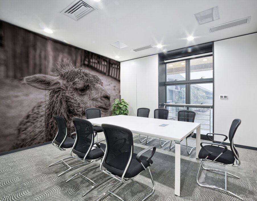 A Is For Alpaca Wall Printing