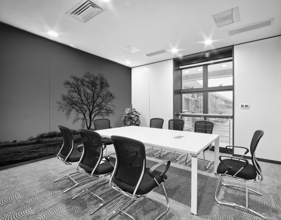 Alone In A Meadow Wall Printing