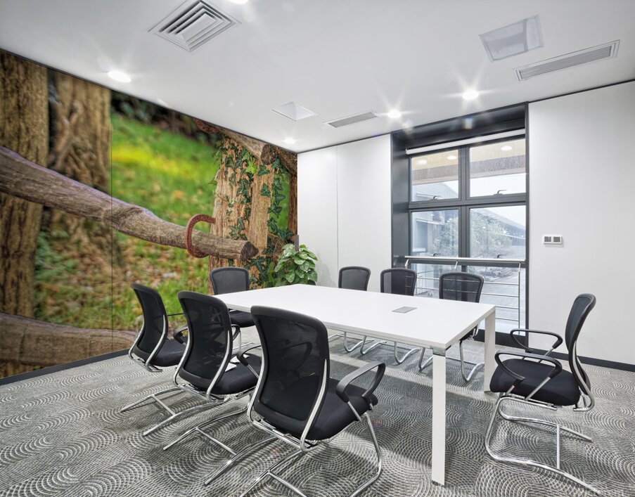 Horseshoe Fence Wall Printing