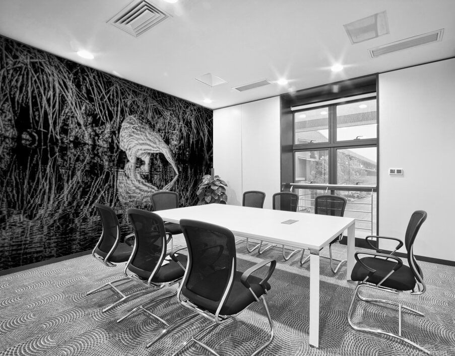 Mirror Reflection Of A Bittern Wall Printing