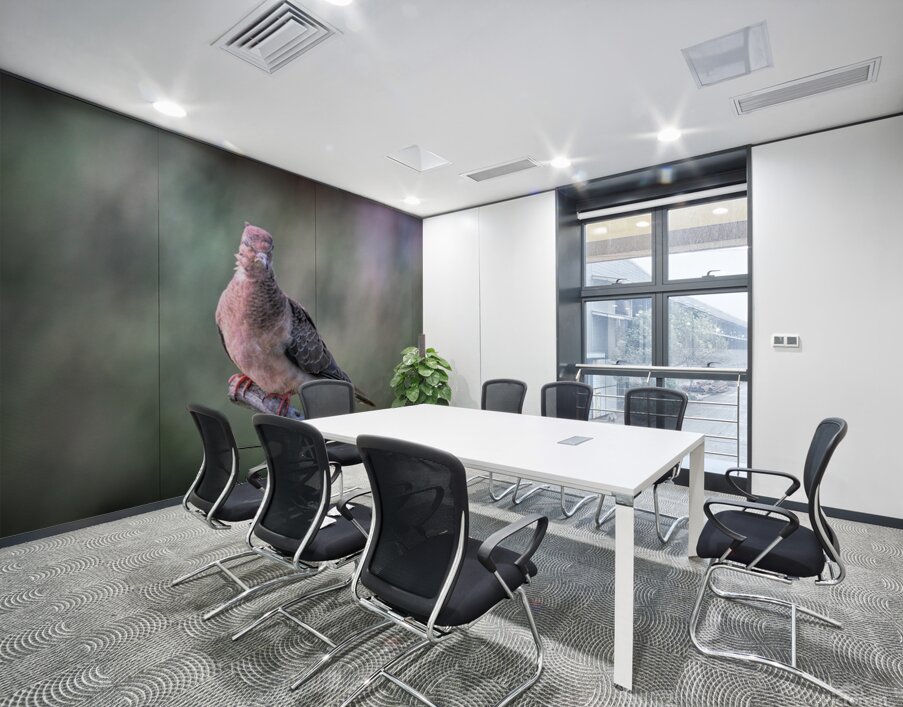 Sleeping With One Eye Open Wall Printing