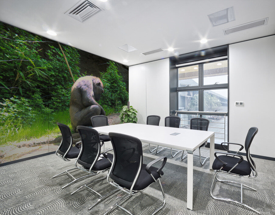 Mid Day Nap Wall Printing