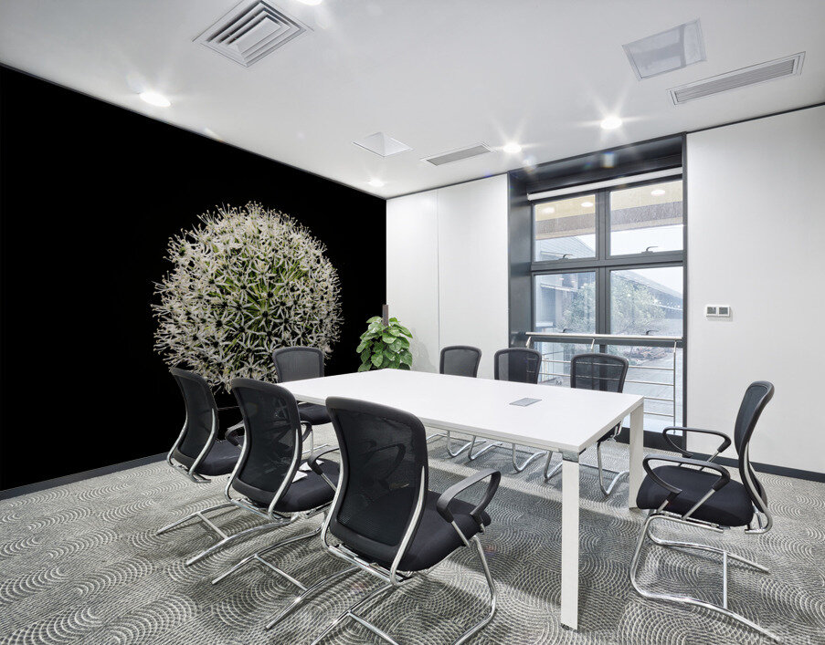 White Allium Wall Printing