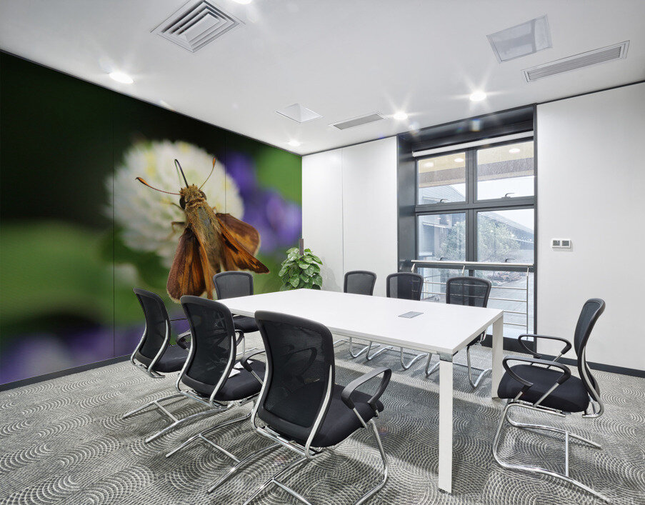 Delaware Skipper Wall Printing