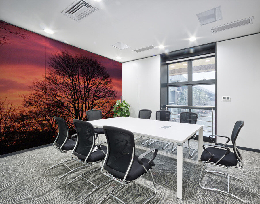 Tonys Sunset Wall Printing