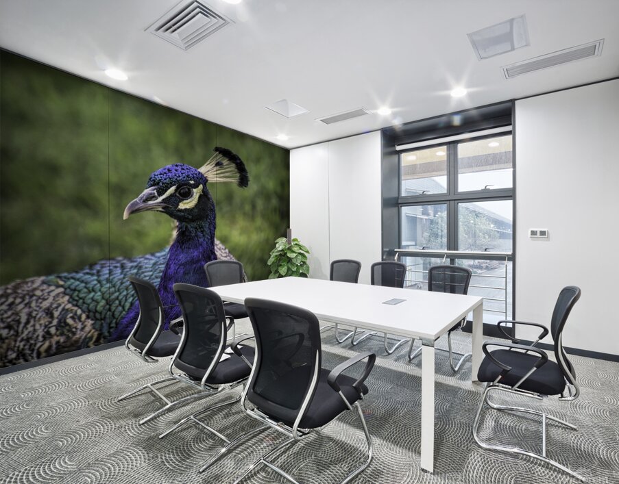 Peacock Profile Wall Printing