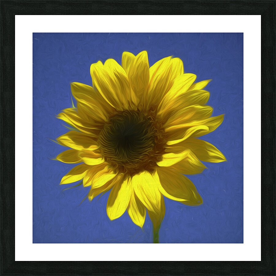 Sunflower And The Sky Impression et Cadre photo