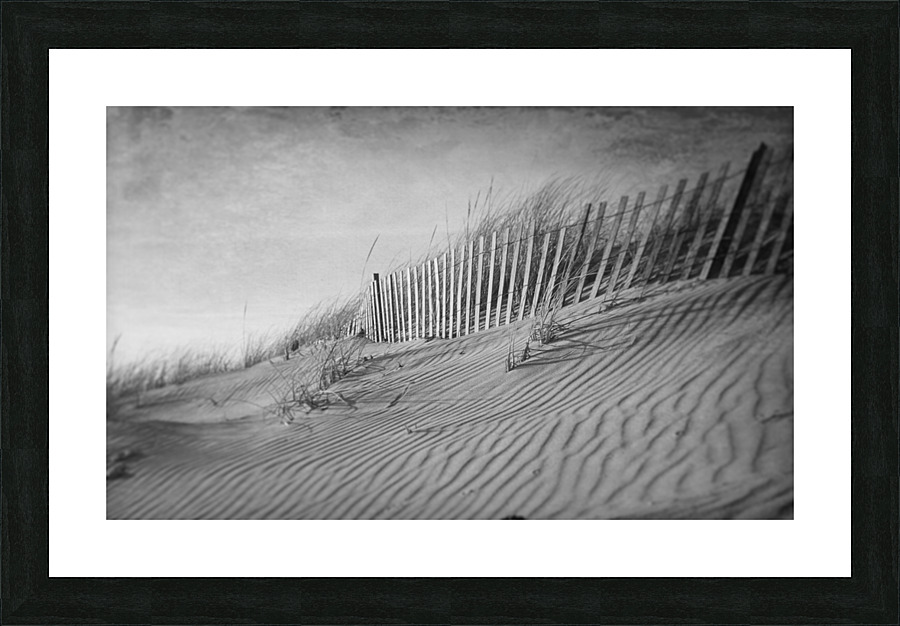 The Dunes In Black and White Picture Frame print