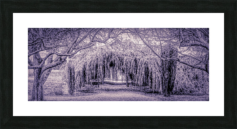 The Winter Tunnel Picture Frame print