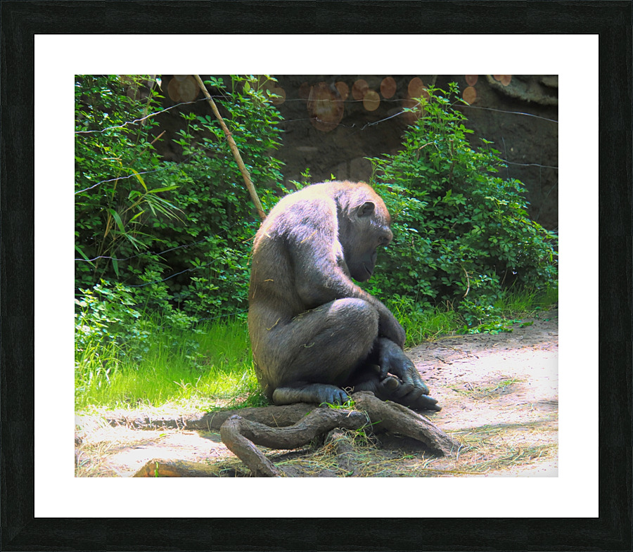 Mid Day Nap Impression et Cadre photo