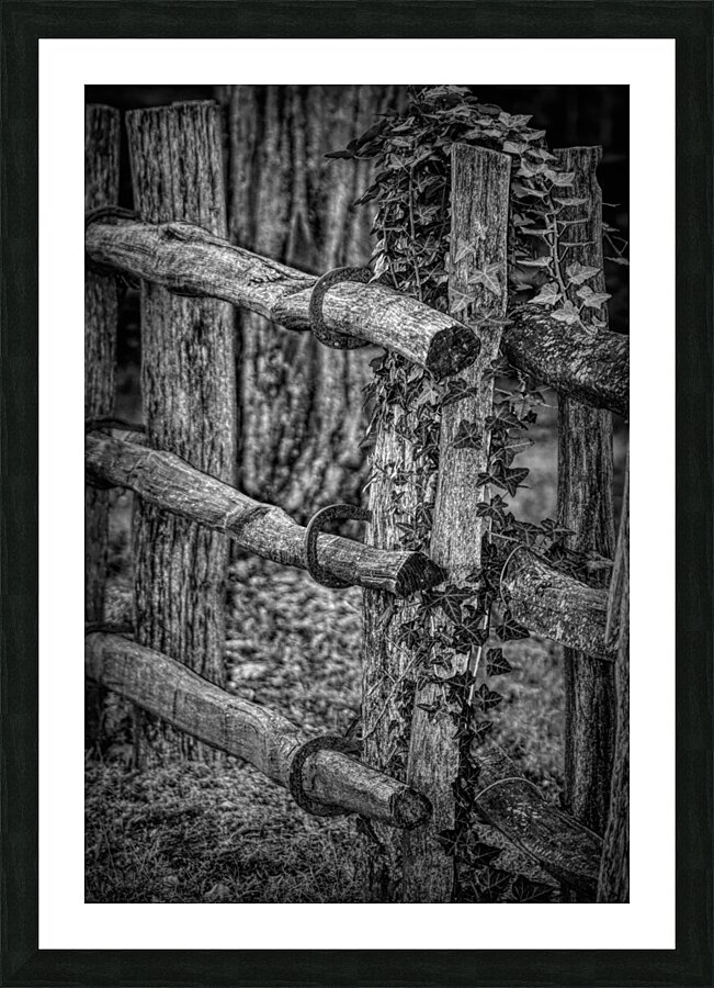 Horseshoe Fence In Black and White Impression et Cadre photo