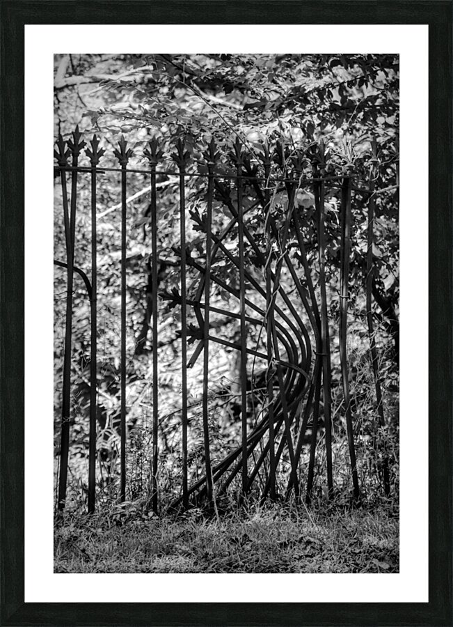 Iron Fence Picture Frame print