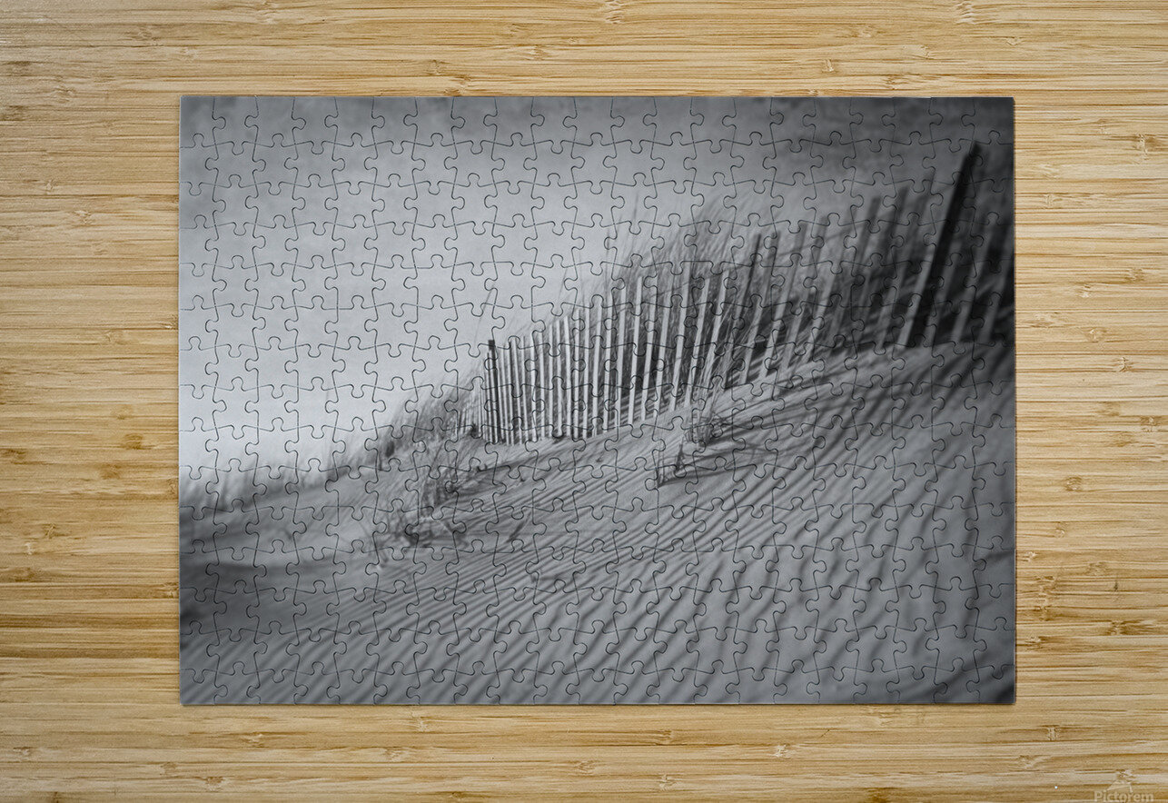 The Dunes In Black and White Karen Silvestri Puzzle printing