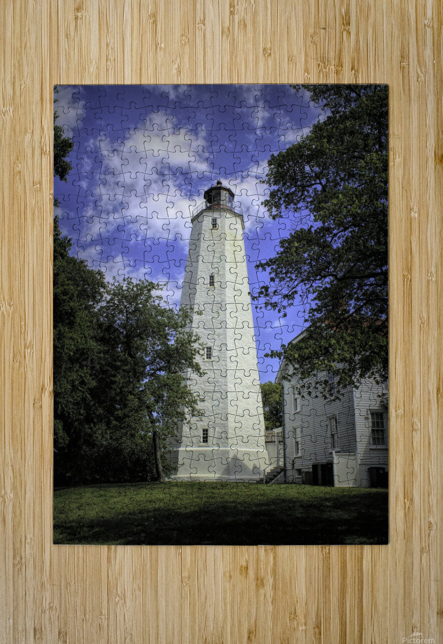 Sandy Hook Lighthouse Tower  Karen Silvestri Puzzle printing