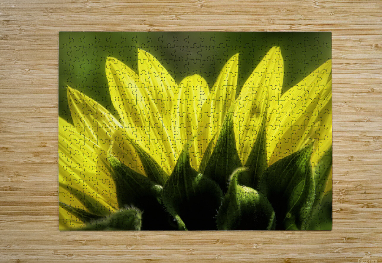 Beauty On The Back Karen Silvestri Puzzle printing
