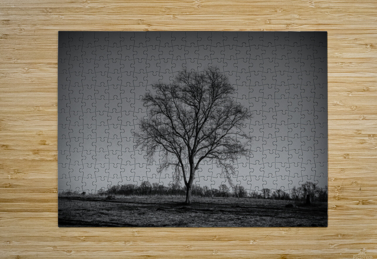 Alone In A Meadow Karen Silvestri Puzzle printing