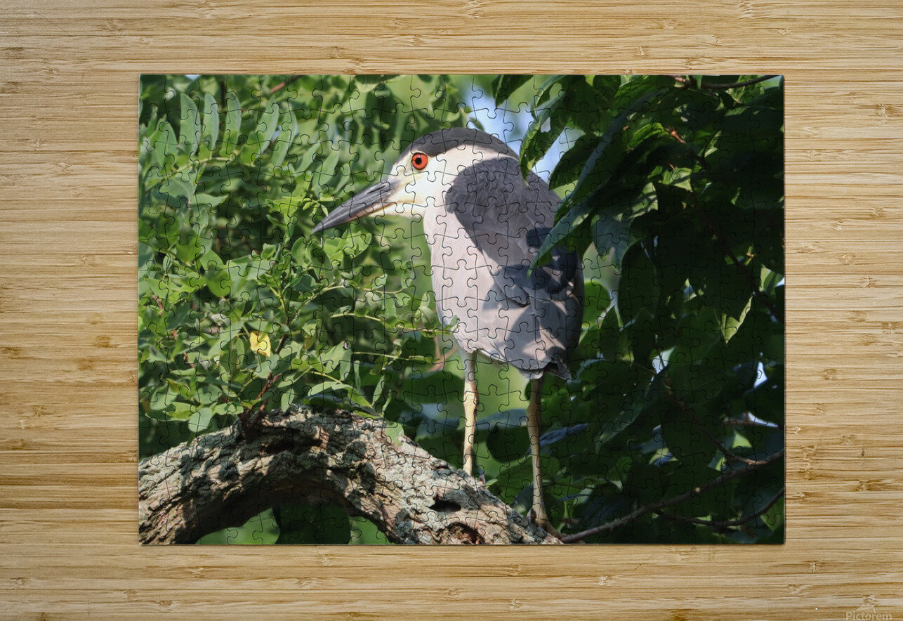 I Thought I Could Hide Karen Silvestri Puzzle printing