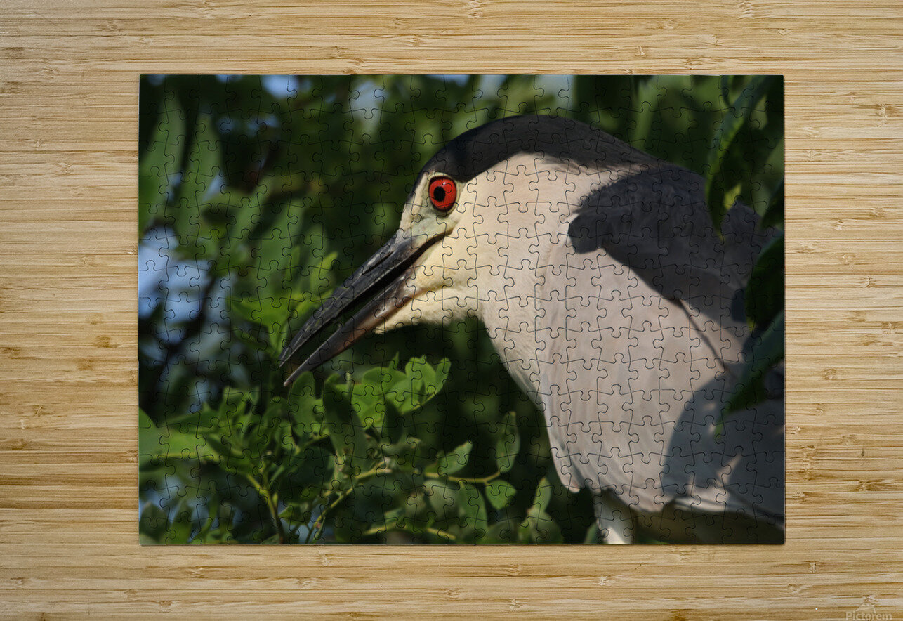 Love My Profile Karen Silvestri Puzzle printing