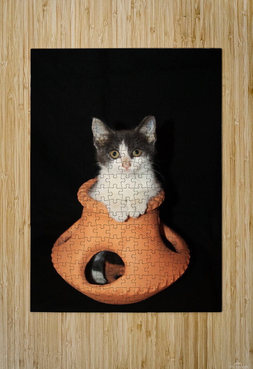 Lady Oscar Karen Silvestri Puzzle printing