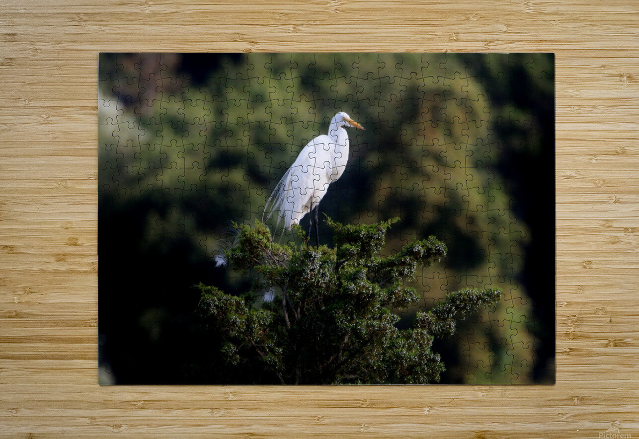 The Lookout Karen Silvestri Puzzle printing