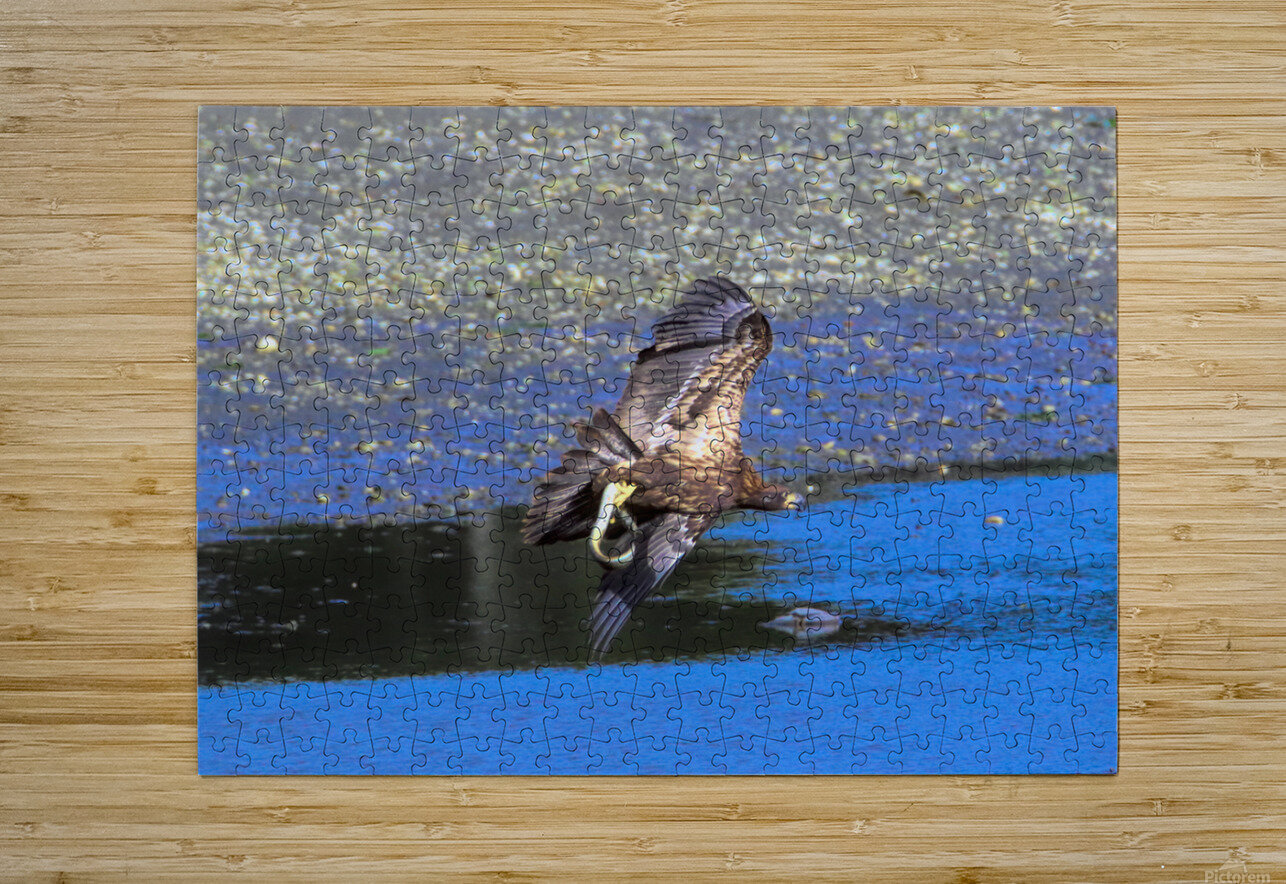 Baby s First Catch Karen Silvestri Puzzle printing