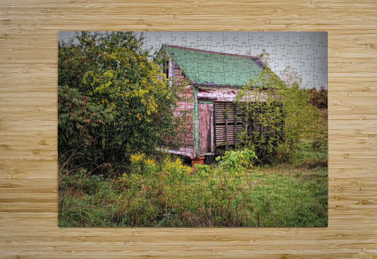 Forgotten Shed  Karen Silvestri Puzzle printing