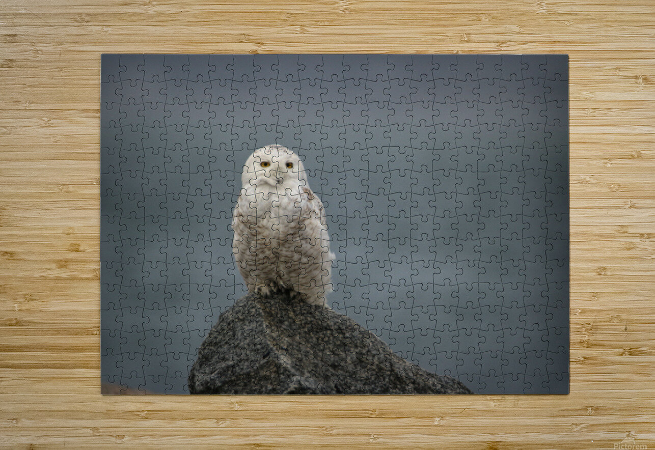 Fog and Snowy Karen Silvestri Puzzle printing