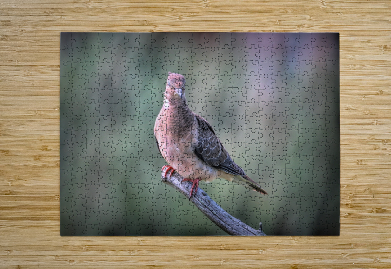 Sleeping With One Eye Open Karen Silvestri Puzzle printing