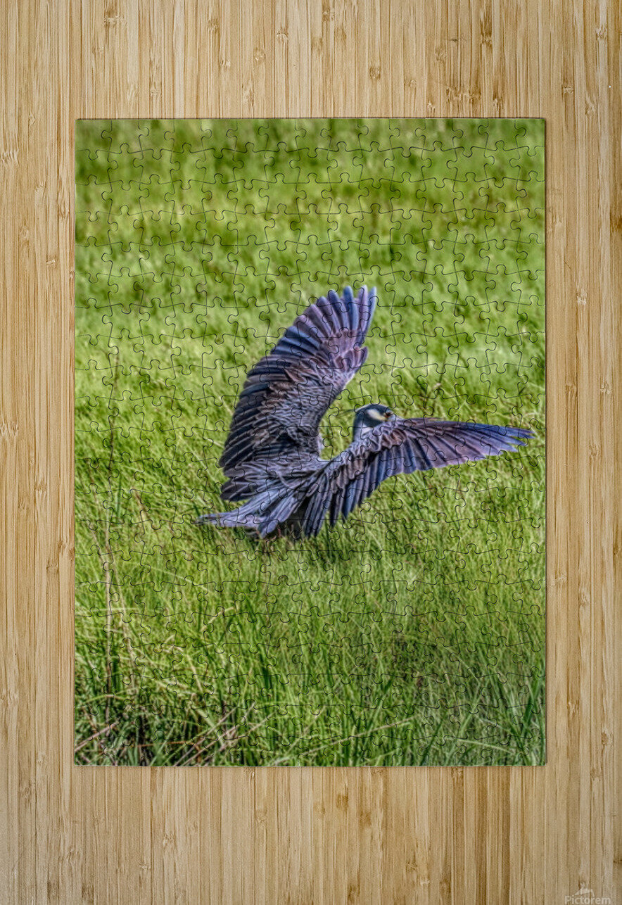 Awesome Landing Karen Silvestri Puzzle printing